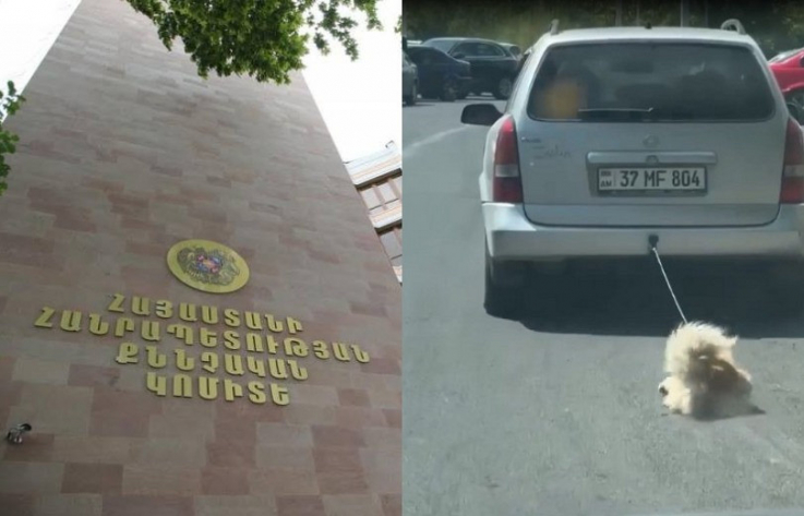 Շանը մեքենային կապած վիճակում վարելու դեպքի առթիվ նախաձեռնվել է քրեական վարույթ