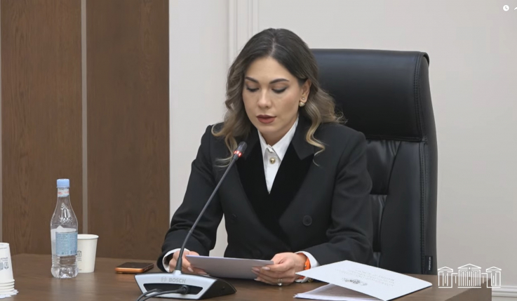 Քրեակատարողական հիմնարկները կվերահսկվեն տեսախցիկներով