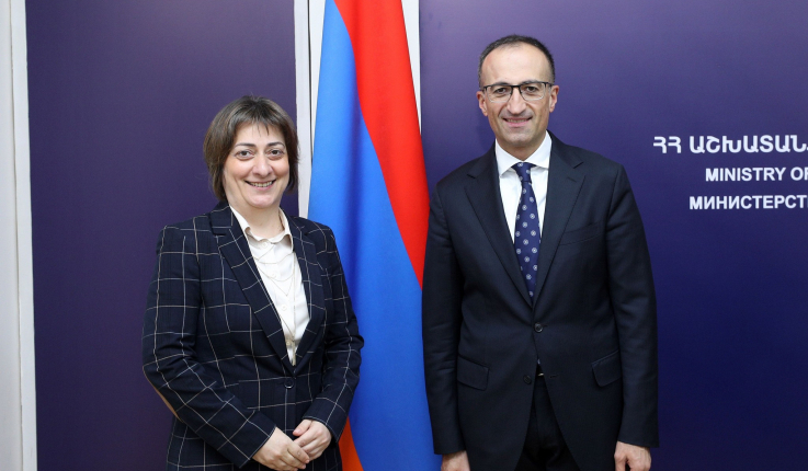Արսեն Թորոսյանը և Նաթիա Նացվլիշվիլին քննարկել են զբաղվածության խթանման, սոցիալական ներառման և գենդերային հավասարության ապահովման հարցեր