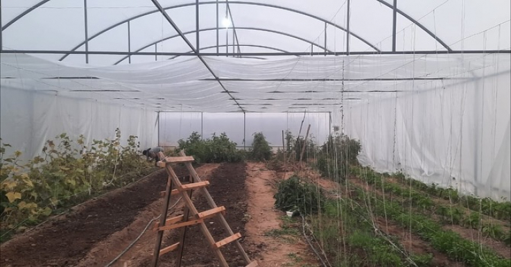 «Տնտեսապես կայուն ընտանիքներ» նախաձեռնության շրջանակում աջակցություն՝ ՀՀ Արագածոտնի և Լոռու մարզերի շահառուներին 