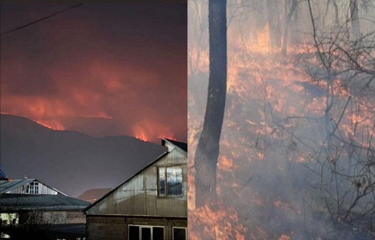 Դիլիջանի «Կազաչի» հատվածում բռնկված հրդեհը մեկուսացվել է, մյուս հատվածներում աշխատանքները շարունակվում են. ՆԳՆ ՓԾ