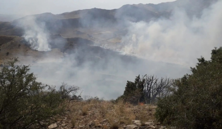 Դիլիջանում հրդեհաշիջման աշխատանքները շարունակվում են․ ՆԳՆ-ից նոր մանրամասներ են հայտնում