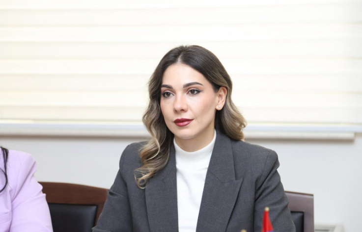 Սահմանադրության նոր տեքստը պետք է պատրաստ լինի մարտ ամսին. Սրբուհի Գալյան