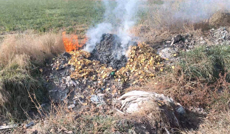 ԱԹՍ վերահսկողությամբ հայտնաբերվել են ապօրինի այրման նոր դեպքեր․ ԲԸՏՄ