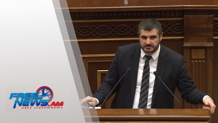 Եվրոպային մեր շնորհակալությունը պետք է հայտնենք ոչ միայն բառերով, այլև գործերով․ Արման Եղոյան