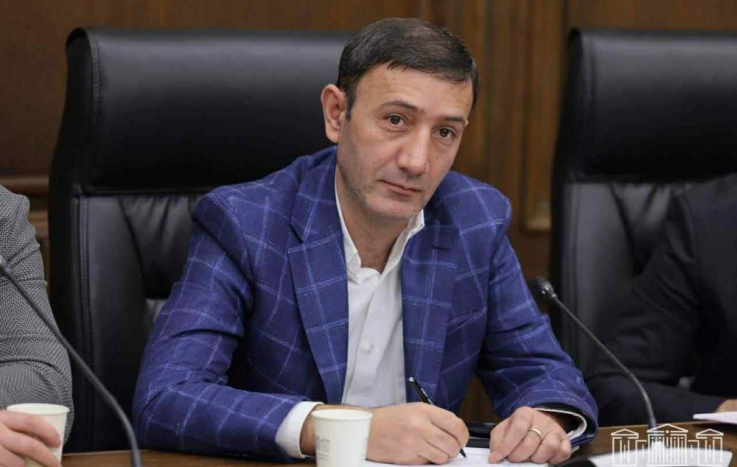 Ականջահաճո բաներ կարելի է խոստանալ, բայց պետք է նաև հիմնավորել․ Թունյանը՝ «Մեր ձևով»-ին