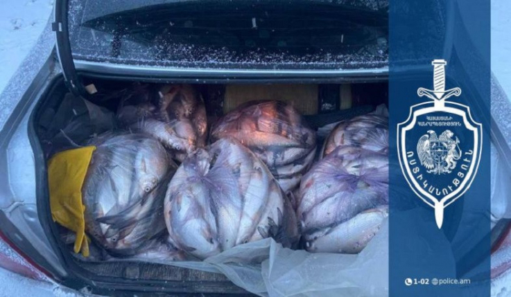 Ջրային պարեկները 29-ամյա վարորդի մեքենայում 197 կգ-ից ավելի ձուկ են հայտնաբերել