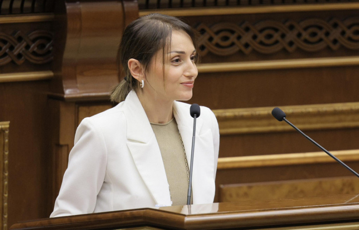 Քիչ պետություններ կարող են ոչ միայն ձևակերպել խաղաղությանն ուղղված օրակարգ, այլ այն վերածել գործընթացների․ Վարդանյան