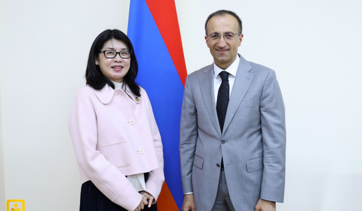 Արսեն Թորոսյանի և Կաորի Իշիկավայի հանդիպմանը ներկայացվել են ՄԱԿ-ի կանանց հարցերով կազմակերպության առաջիկա նախաձեռնությունները