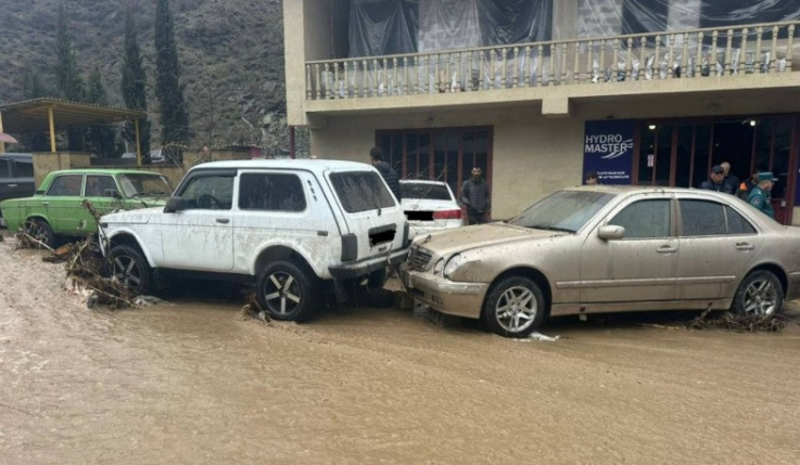 Կապանում սելավատարից դուրս եկած ջուրը հեղեղել է  փողոցը, վնասվել են ավտոմեքենաներ, տուժել կենդանիներ. ՆԳՆ