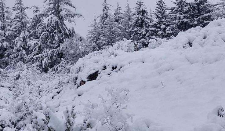 Ձյուն է սպասվում