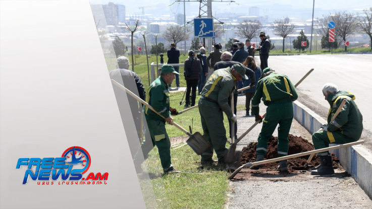 Իսակովի պողոտայում շուրջ 500 ծառ կտնկվի․ Երևանում շարունակվում են կանաչապատման աշխատանքները