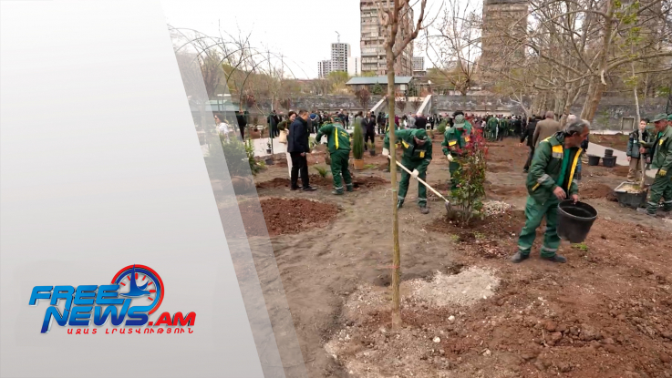 Շաբաթօրյակ և ծառատունկ` Երևանի քաղաքապետարանի նախաձեռնությամբ