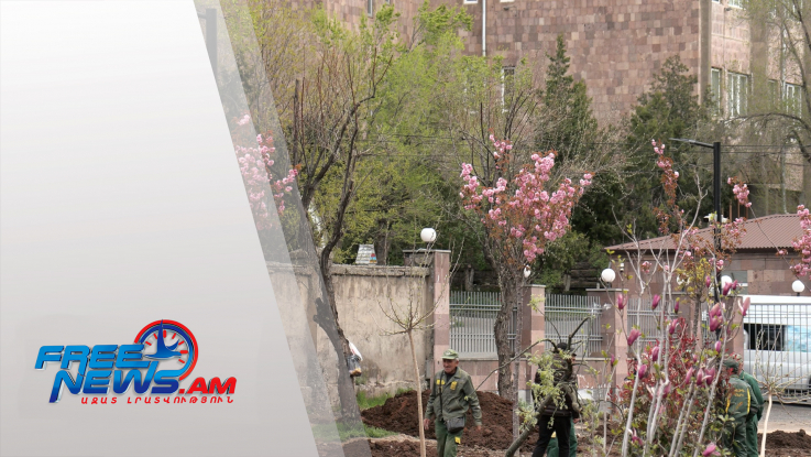 Կանաչապատում՝ բնակիչների անվանական ծառերով