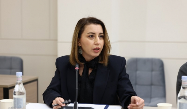 ԱԺ հանձնաժողովը դրական եզրակացություն է տվել Արտաքին հետախուզության ծառայության մասին օրենքում փոփոխությունների նախագծին