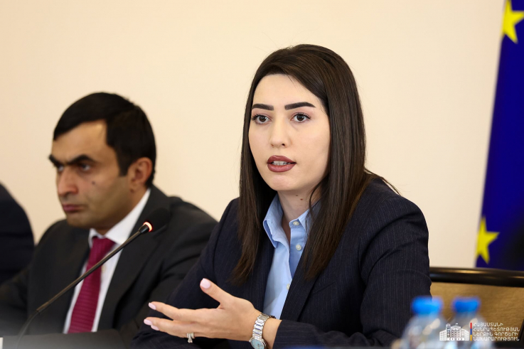  Արփինե Սարգսյանը հանդիպել է ԵՄ Խորհրդի COEST աշխատանքային խմբի պատվիրակությանը