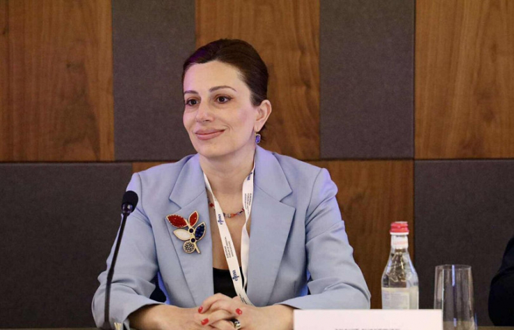 Կրկնակի փորձաքննություն է իրականացվում, նմուշներն ուղարկվել են այլ երկրներ. Ավանեսյանը՝ Ծավի խմելու ջրի մասին